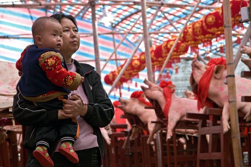 Слушая оперуphoto preview