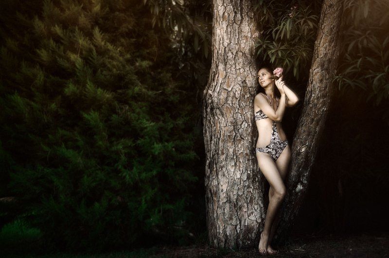 Мои работыphoto preview