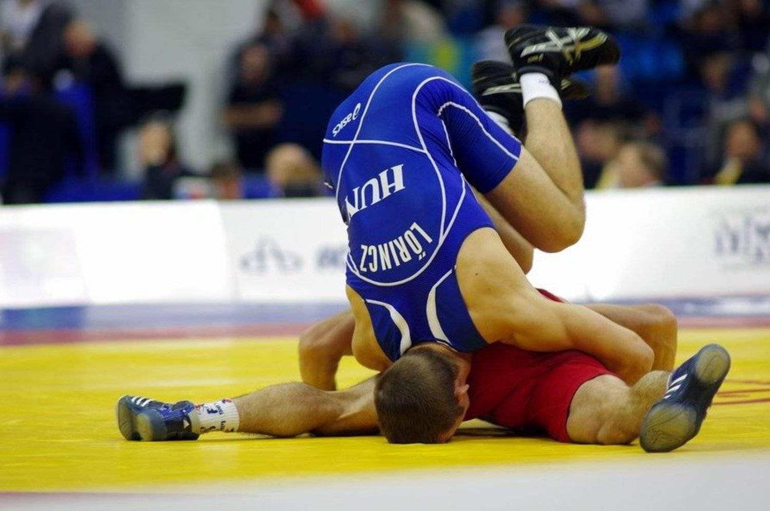 схватка, борьба, чемпионат, Арсен Алабердов