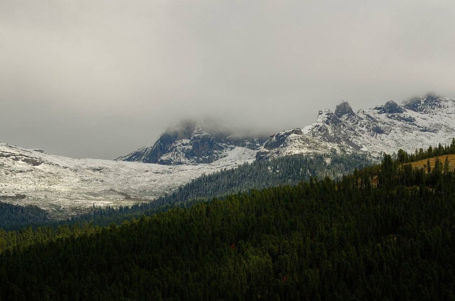Сидящее на пальцах.. Автор: Евгений strannik521 , Евгений strannik521