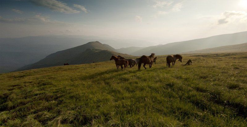 * * * * *photo preview