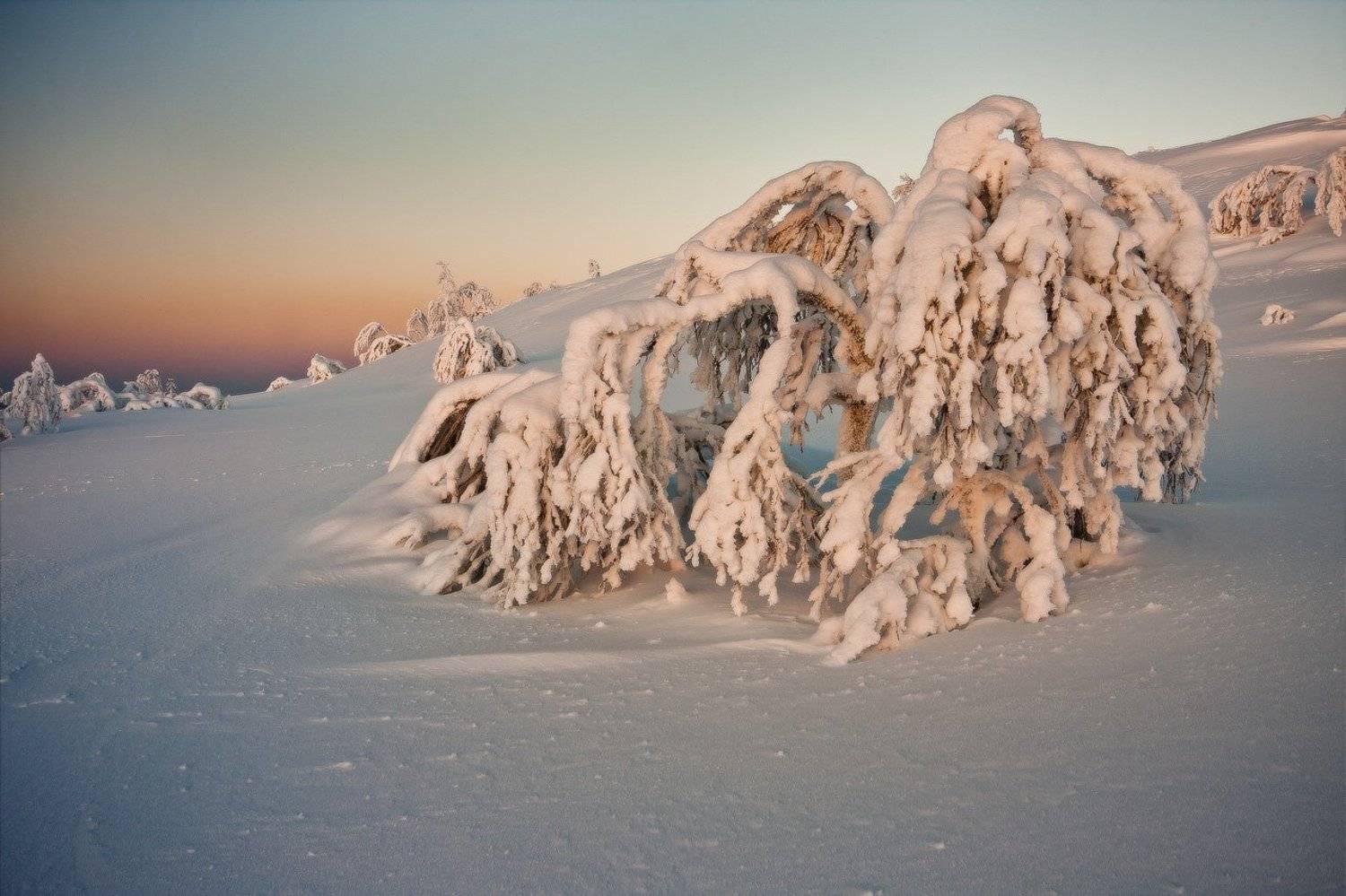*****. Автор: Nikolai (locus) кольский, полуостров, зима, Nikolai (locus)