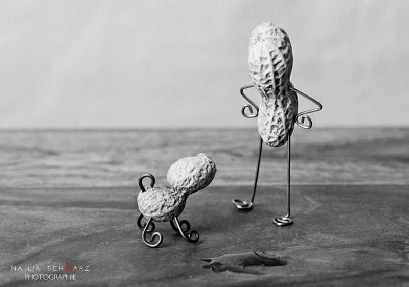 сценка, собачка, хозяин, орех, лужа Воспитательный процессphoto preview