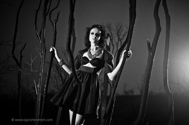 таинственный лесphoto preview