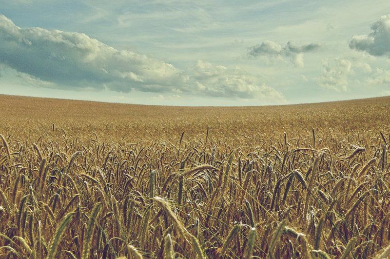 Rye and Cloudsphoto preview