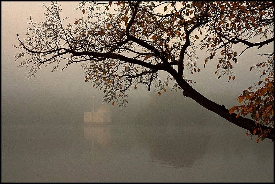 Туманы Царского села. Автор: Sergey , Sergey