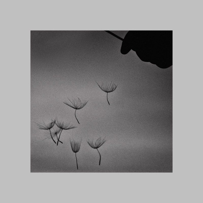 ...марионетки...photo preview