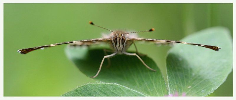 Готовы к взлету...photo preview