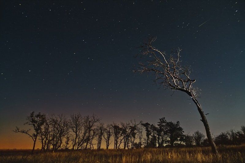 звездный дождь, batoev , батоев, дерево, дерево, звезды, небо, пейзаж ,комета, большая медведица, звезда Звездный дождьphoto preview