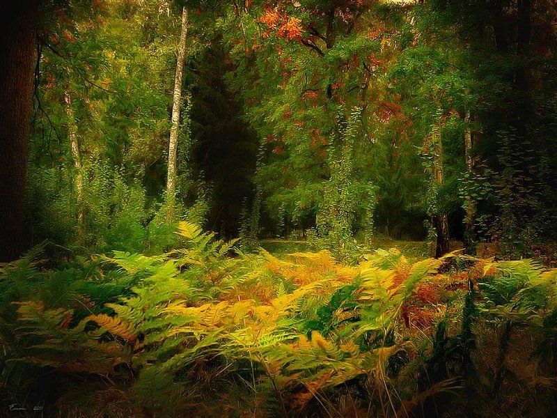 осень, природа, зарисовка Осень...... фото превью