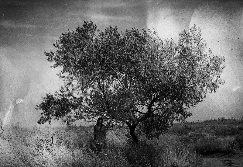 пленка, дерево, девушка, одиночество, тайна Тайнаphoto preview