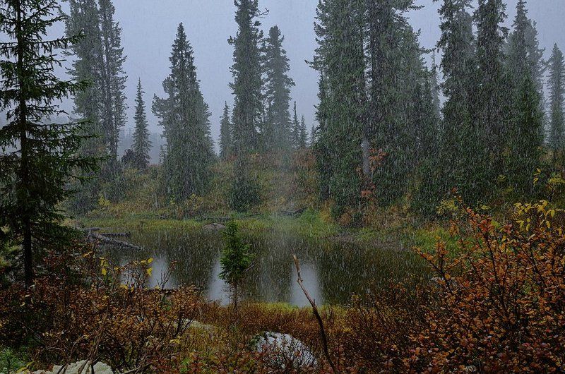 Снег.photo preview