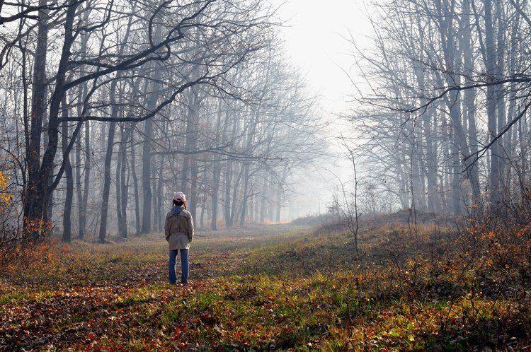 , Светлана Щемелева