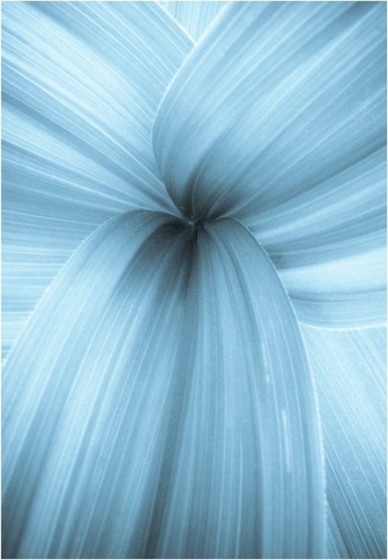 Highway фото превью