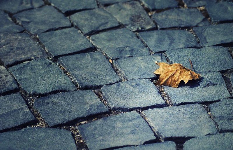 ...When autumn leaves start to fall...photo preview