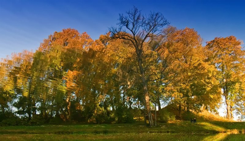 В королевстве искаженных  зеркалphoto preview