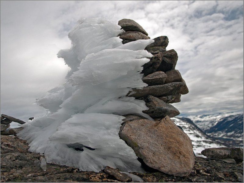 инь, и, янь Вечная темаphoto preview