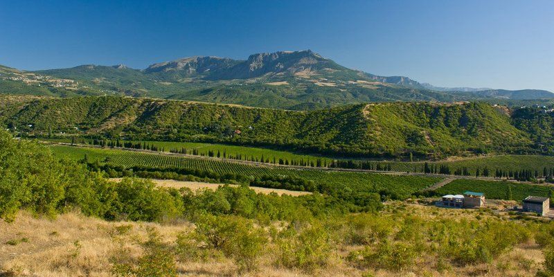 not evenness....photo preview