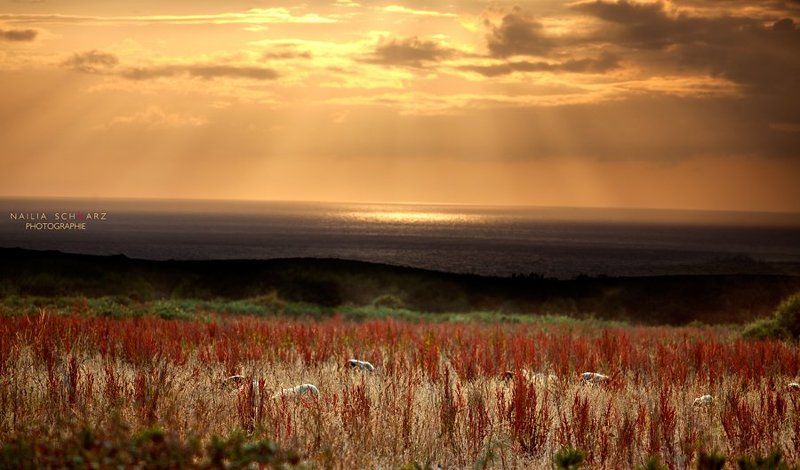 bretagne, france, бретань, франция, люди, пйзажи, океан Bretagne, Francephoto preview
