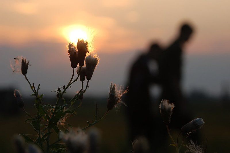 неподведённые итогиphoto preview