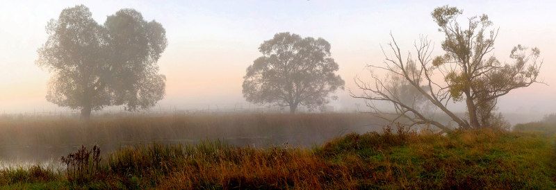 Без ёжиков...photo preview