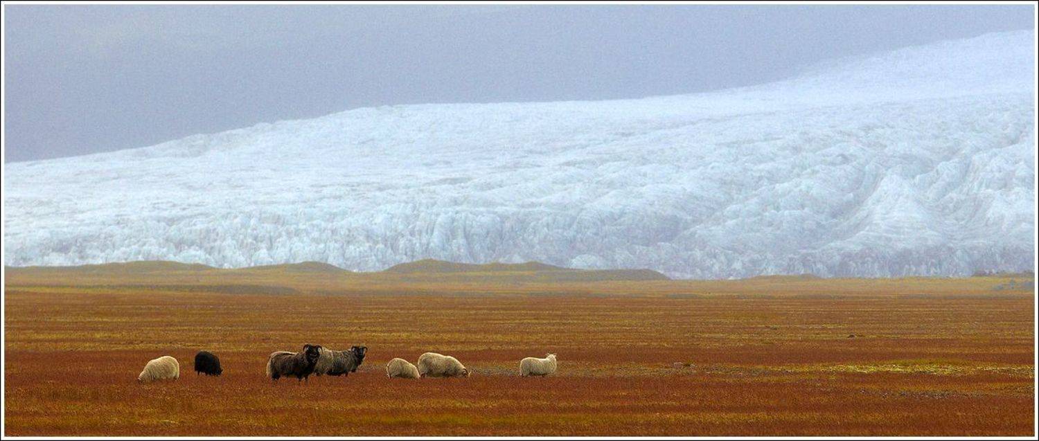 исландия, Григорий Иващенко