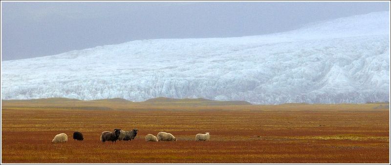 исландия Фота для истинных ценителейphoto preview