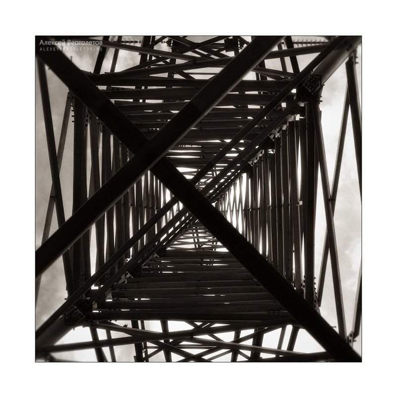 Силкиphoto preview