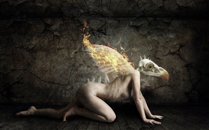 Burning Musephoto preview