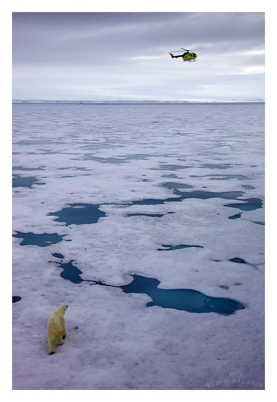 Встречающийphoto preview