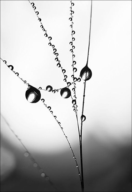 вода, капли Геометрия водыphoto preview