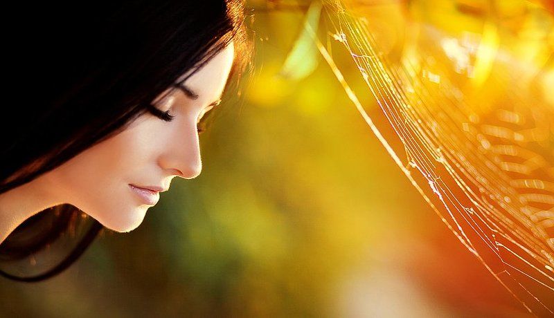 закат, желтый, контровой, девушка, паутина, портрет *******photo preview