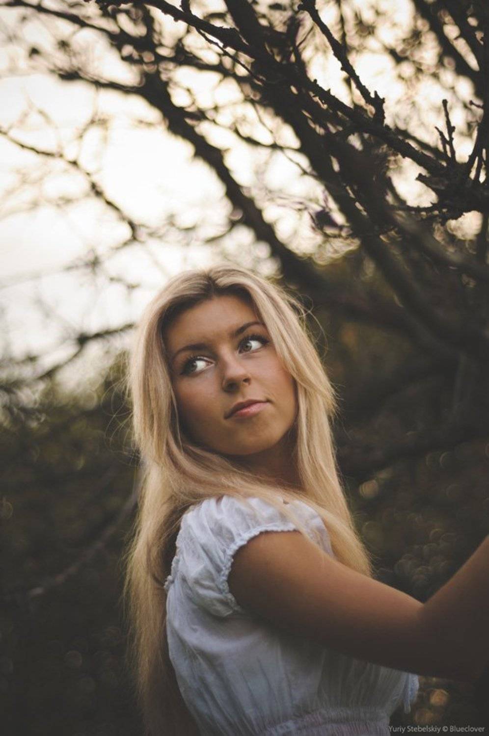 garden. Автор: blueclover , blueclover