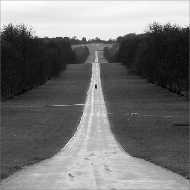 винздор, парк ***photo preview