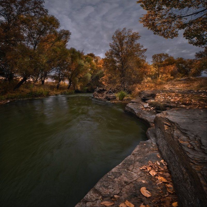 Рыжая пораphoto preview