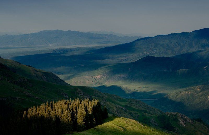 Табан карагой 2photo preview