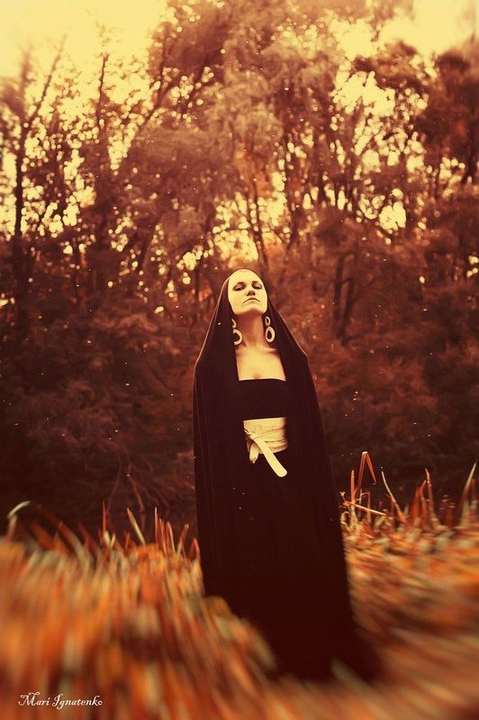 Пересмешникphoto preview