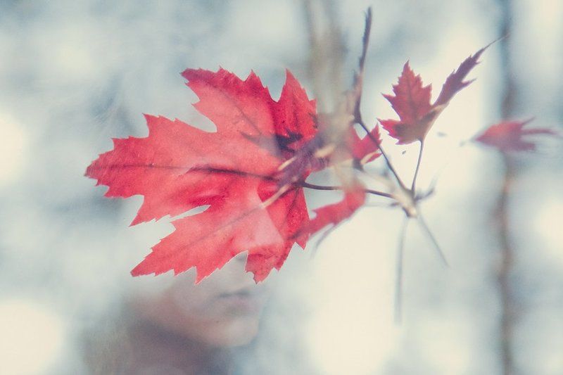 осень, девушка, портрет, ((()))photo preview