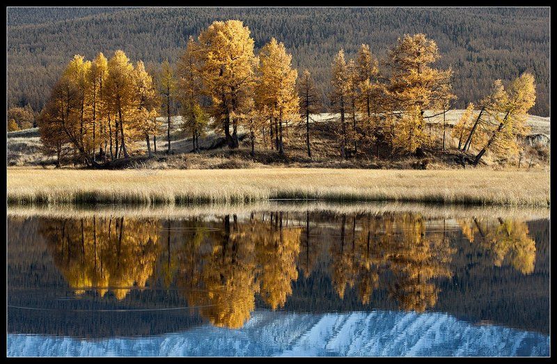 алтай Отражение осени....photo preview