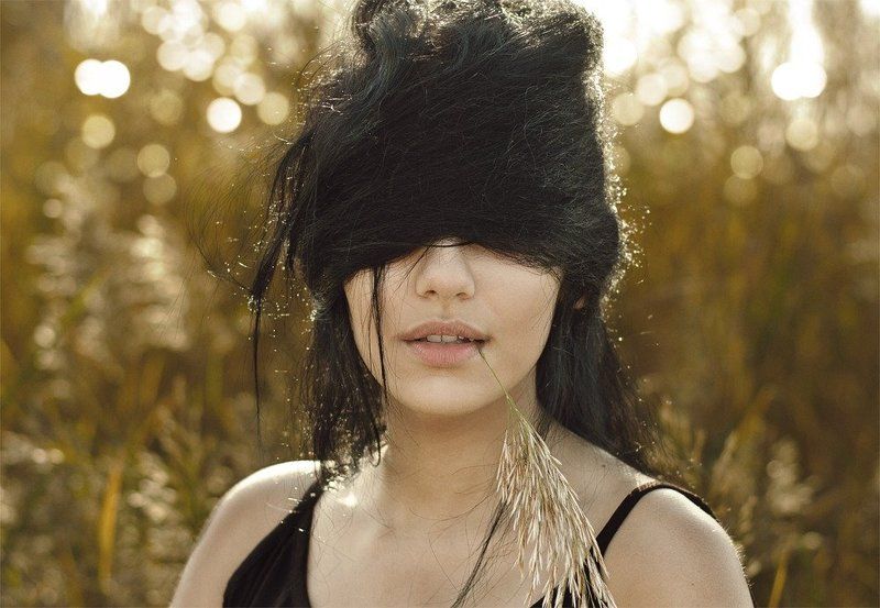 silencephoto preview