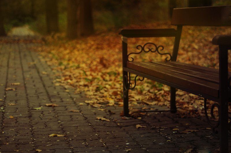 Еще раз об осени...photo preview