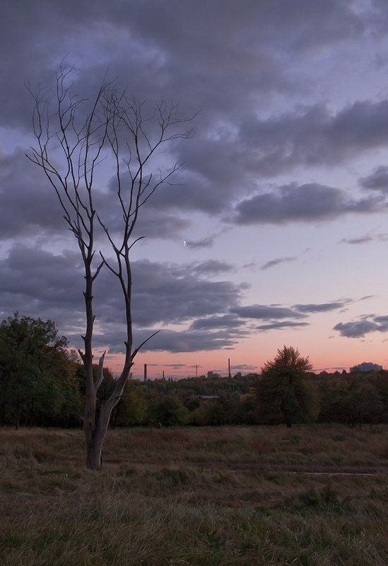 закат,вечер,небо,облака,ветер,дерево,дорога,город. Зарисовки с Лысой горы.photo preview