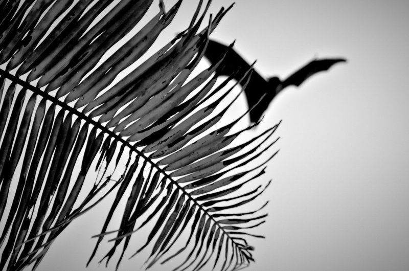 Тайны острова \