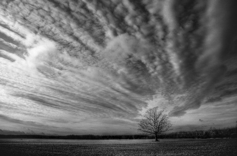 With the crown, but not the king ...photo preview