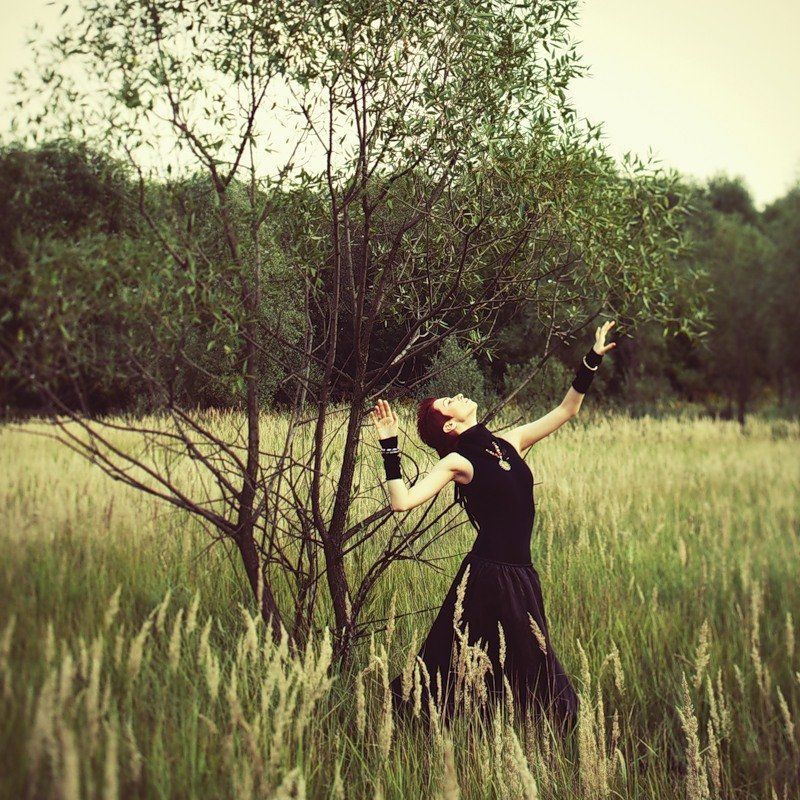 Forever autumnphoto preview