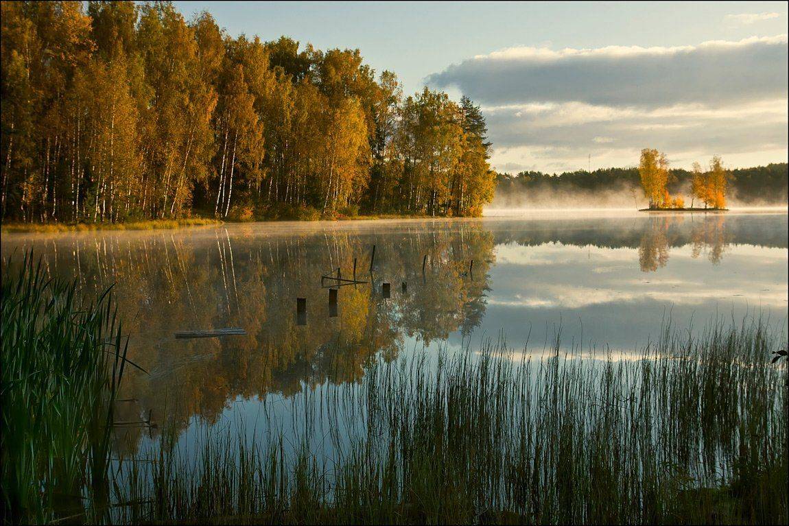 , Аркадий Белов