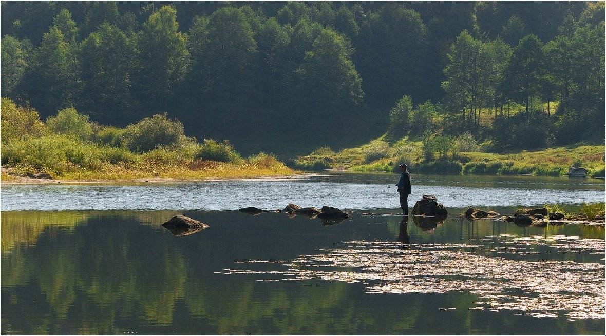 ***. Автор: Николай Шахманцир , Николай Шахманцир