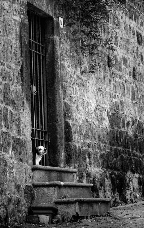 lonelinessphoto preview