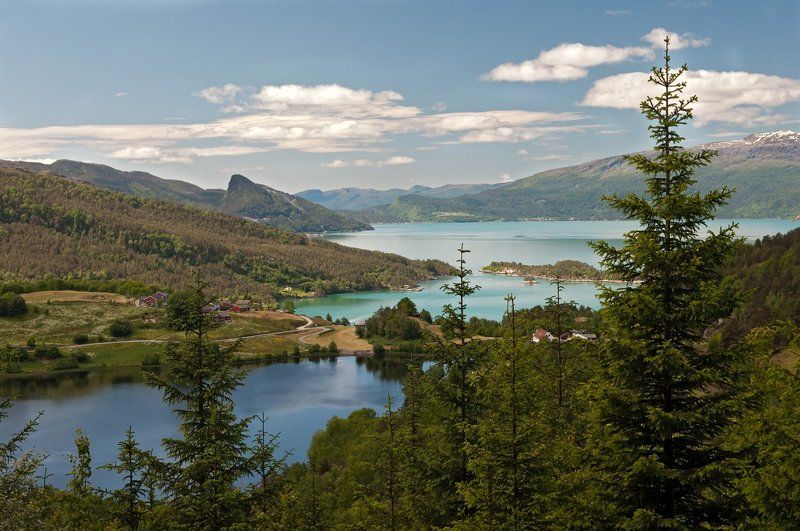 хардангерфьорд Хардангерфьордphoto preview