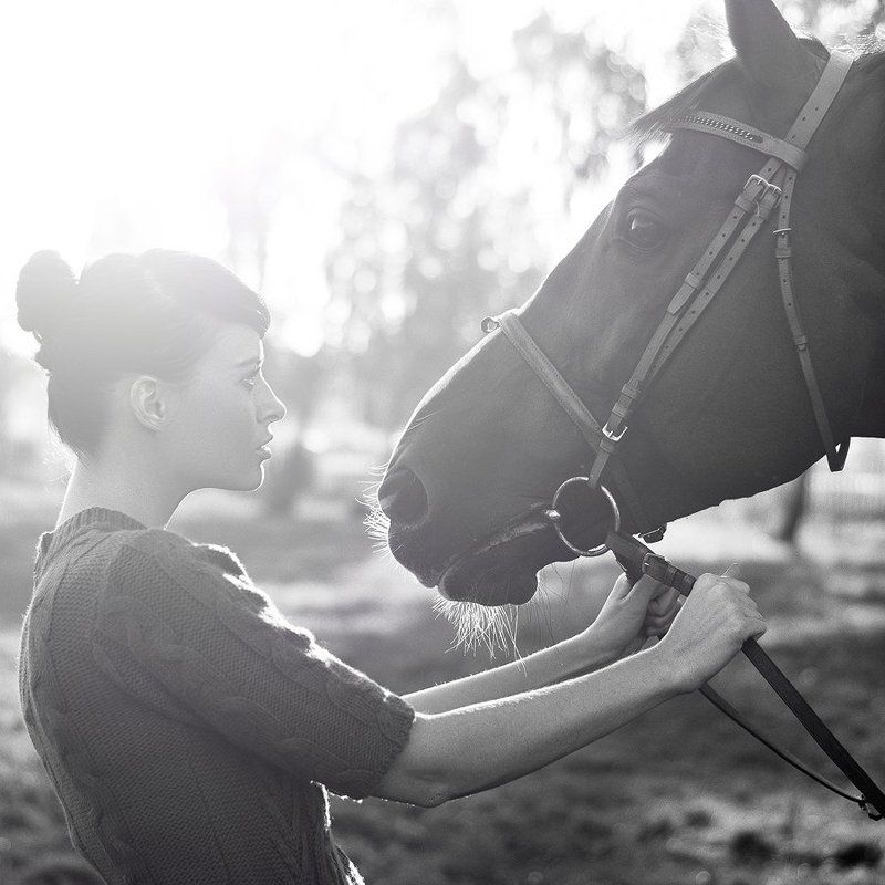 лошадь, девушка, девушка и лошадь, ч/б, портрет photo preview